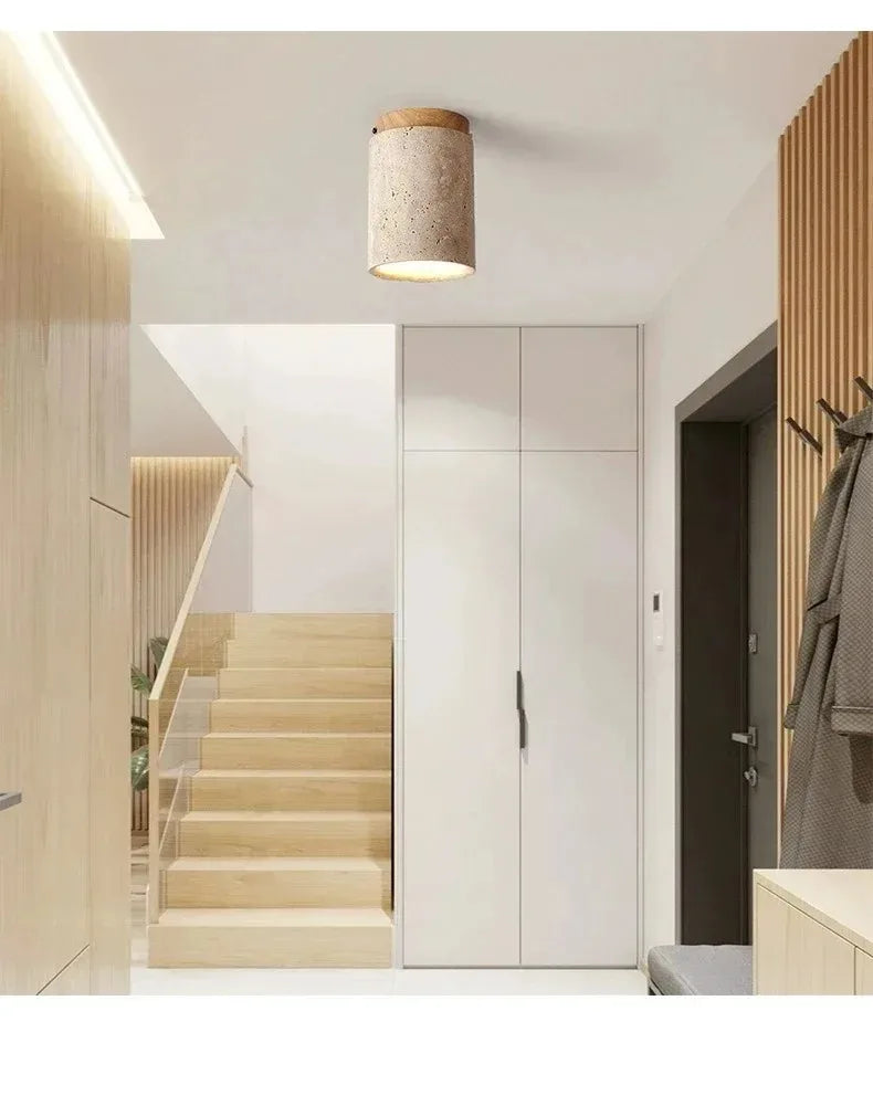 Modern Decorative LED Chandelier - Ceiling Mount Light Fixture