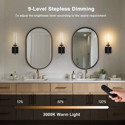 Set of 2, Battery Operated Dimmable Lights with Remote,