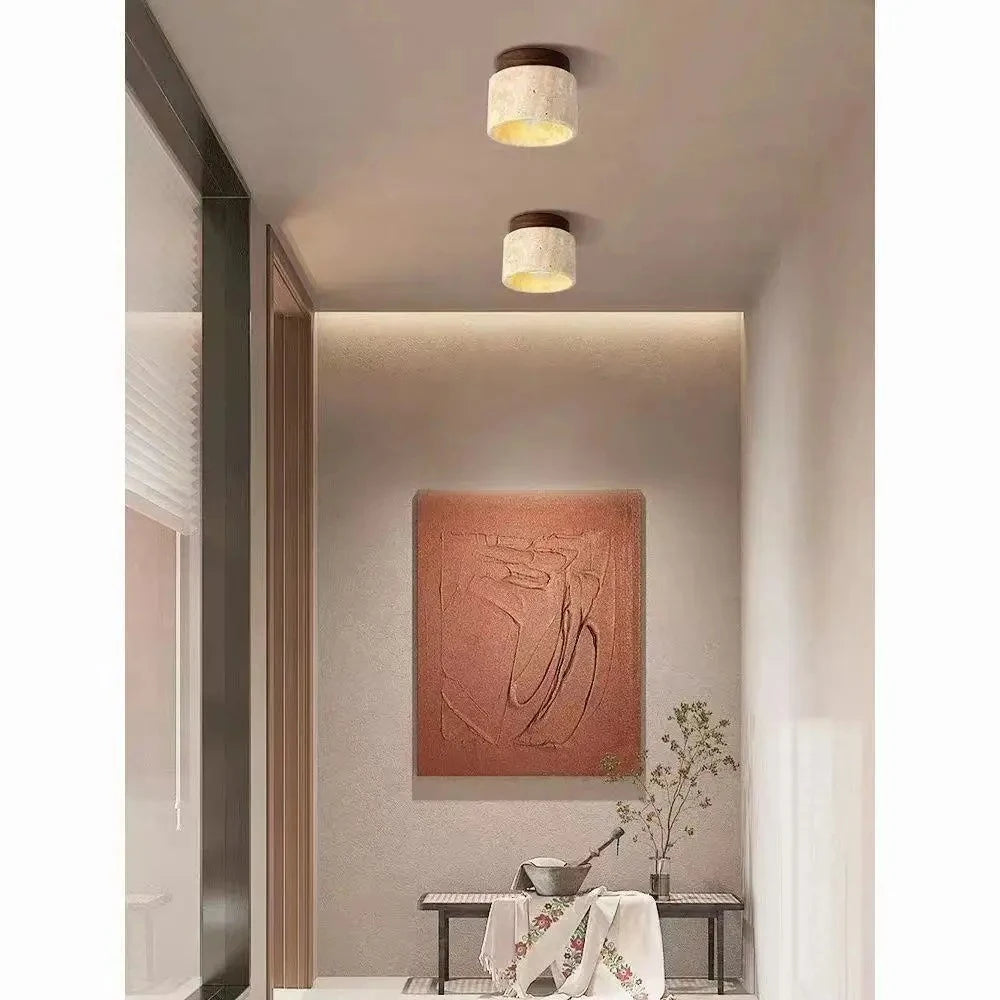 Modern Decorative LED Chandelier - Ceiling Mount Light Fixture