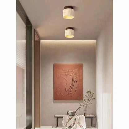 Modern Decorative LED Chandelier - Ceiling Mount Light Fixture