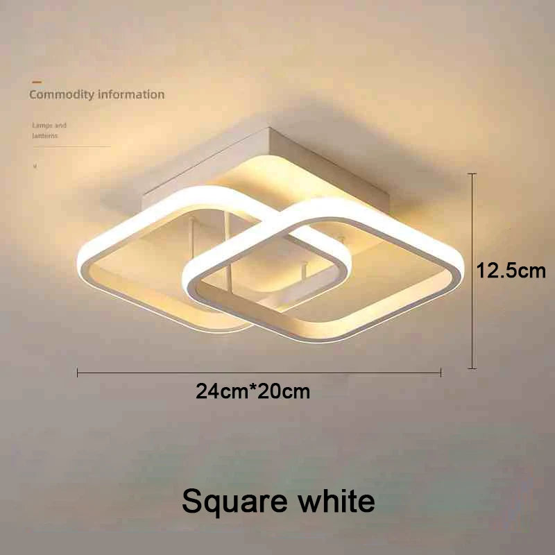 Creative Double Ring LED Ceiling Lamp