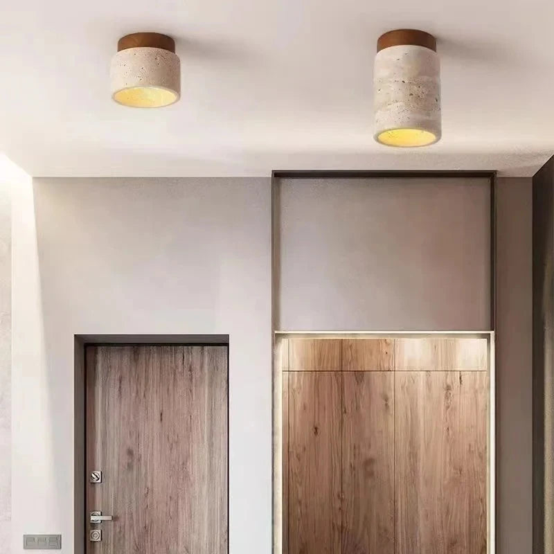 Modern Decorative LED Chandelier - Ceiling Mount Light Fixture