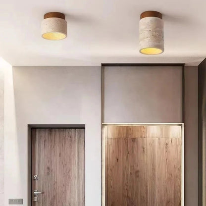 Modern Decorative LED Chandelier - Ceiling Mount Light Fixture