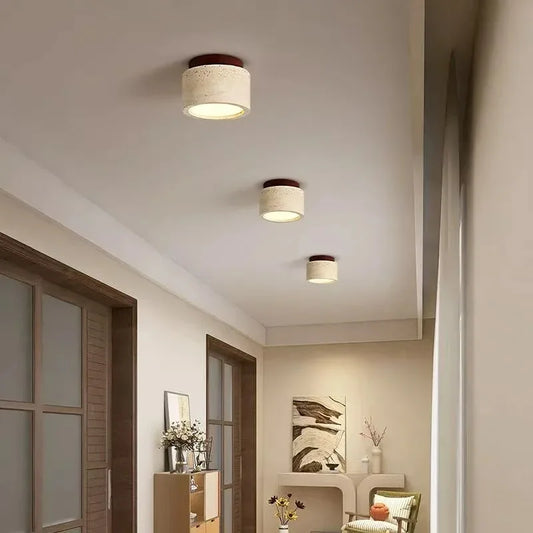 Modern Decorative LED Chandelier - Ceiling Mount Light Fixture