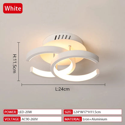 Modern Household LED Ceiling Light