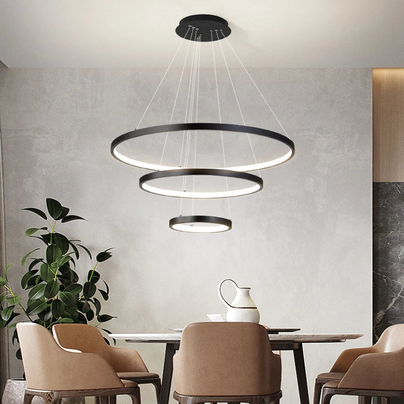 Modern LED Ceiling Light Fixture