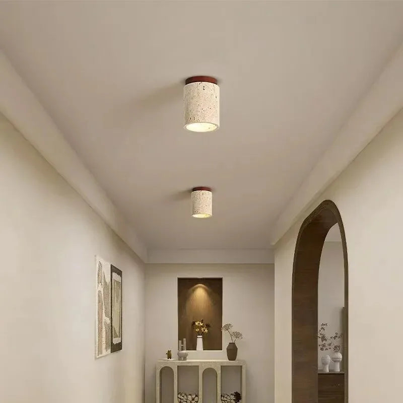 Modern Decorative LED Chandelier - Ceiling Mount Light Fixture
