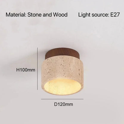 Modern Decorative LED Chandelier - Ceiling Mount Light Fixture
