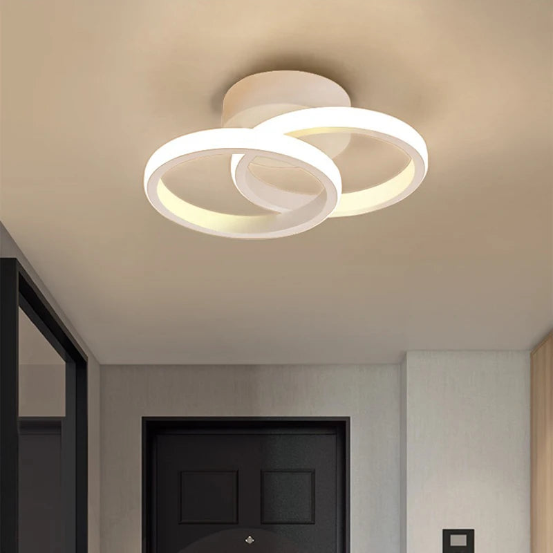 Modern Household LED Ceiling Light