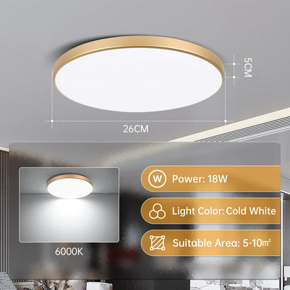 Ultra-Thin LED Ceiling Lamp – Waterproof