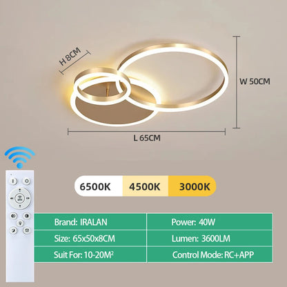 Modern Indoor LED Ceiling Chandelier