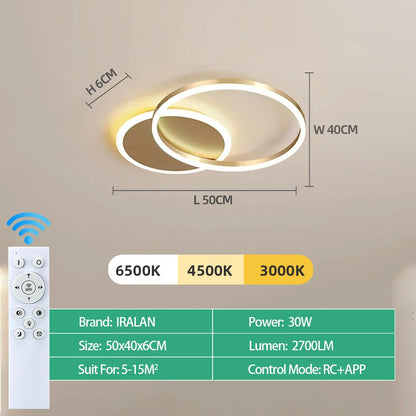 Modern Indoor LED Ceiling Chandelier