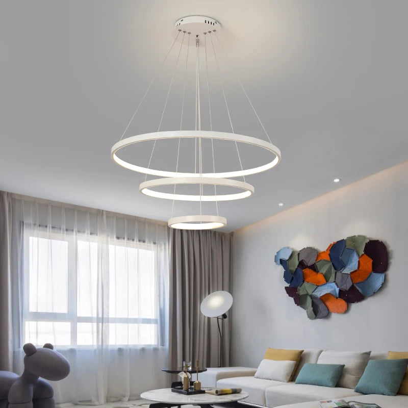 Modern LED Ceiling Light Fixture