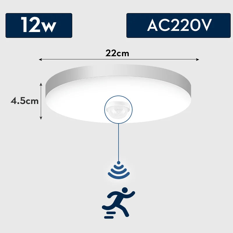 Modern Motion Sensor LED Ceiling Lamp