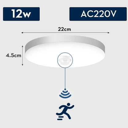 Modern Motion Sensor LED Ceiling Lamp