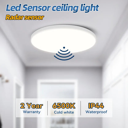 Modern Motion Sensor LED Ceiling Lamp