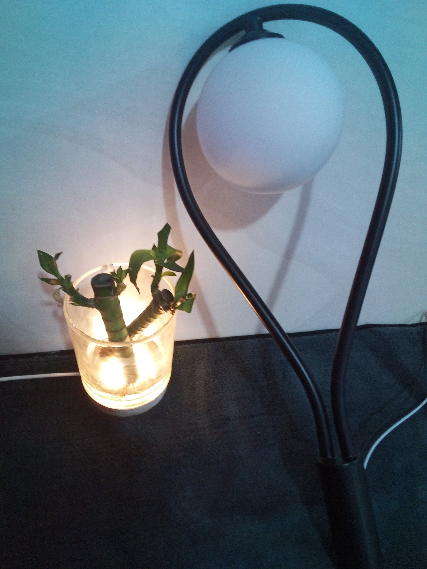 Modern Nordic Gold LED Wall Lamp